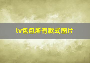 lv包包所有款式图片