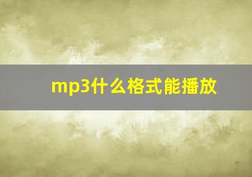 mp3什么格式能播放