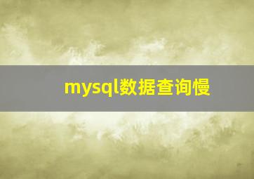 mysql数据查询慢