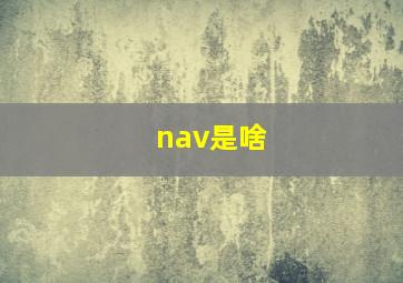 nav是啥