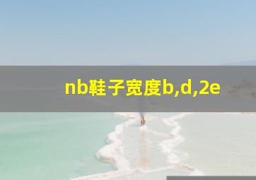 nb鞋子宽度b,d,2e