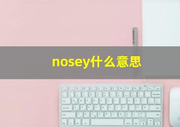 nosey什么意思