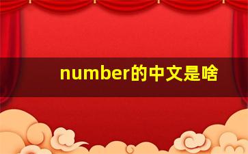 number的中文是啥