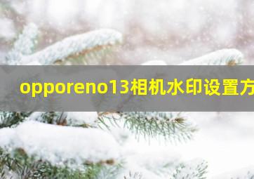 opporeno13相机水印设置方法