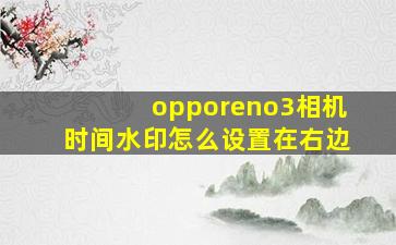 opporeno3相机时间水印怎么设置在右边