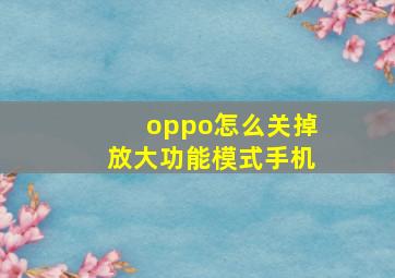 oppo怎么关掉放大功能模式手机