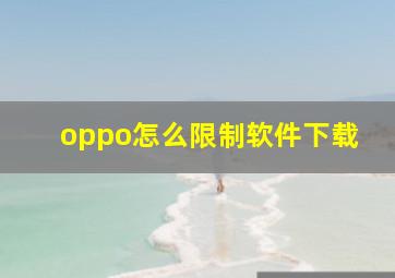 oppo怎么限制软件下载