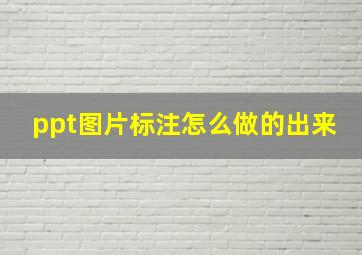 ppt图片标注怎么做的出来