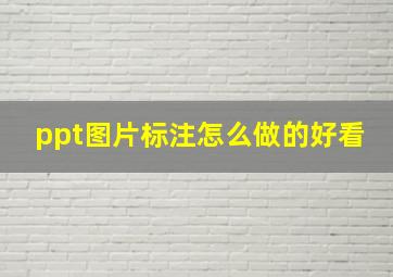 ppt图片标注怎么做的好看