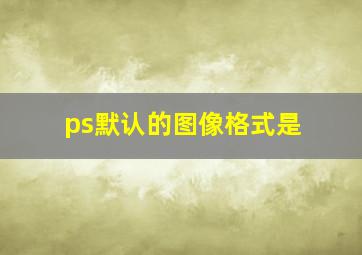 ps默认的图像格式是