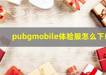 pubgmobile体验服怎么下载