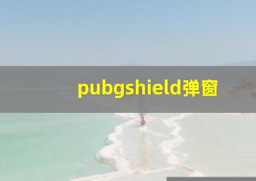 pubgshield弹窗