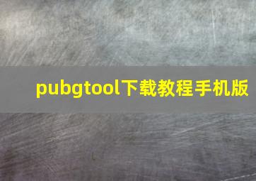 pubgtool下载教程手机版