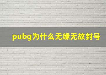 pubg为什么无缘无故封号