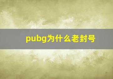 pubg为什么老封号