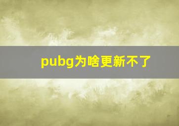 pubg为啥更新不了