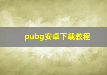 pubg安卓下载教程