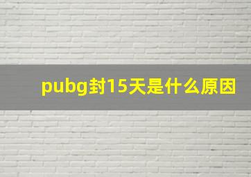 pubg封15天是什么原因