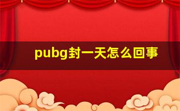 pubg封一天怎么回事