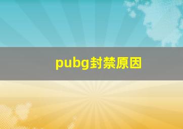 pubg封禁原因