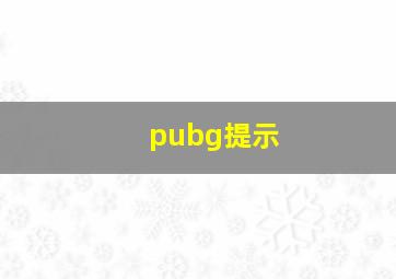 pubg提示