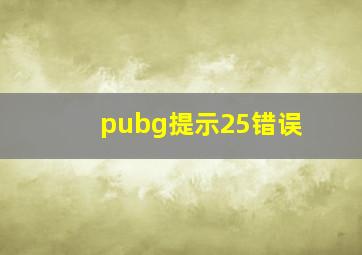 pubg提示25错误