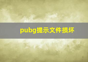 pubg提示文件损坏