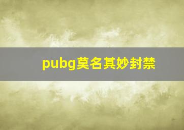 pubg莫名其妙封禁