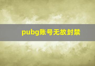 pubg账号无故封禁