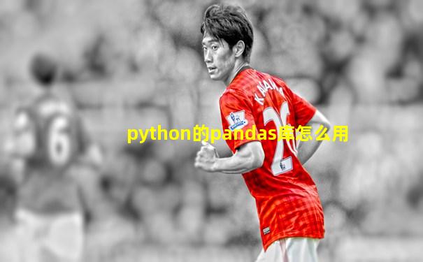 python的pandas库怎么用