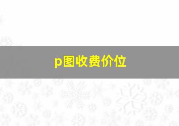 p图收费价位