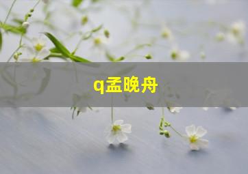 q孟晚舟