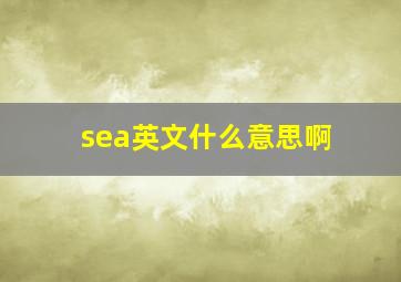 sea英文什么意思啊