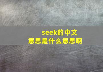 seek的中文意思是什么意思啊