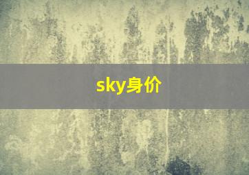 sky身价