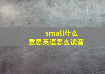 small什么意思英语怎么读音