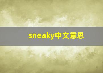 sneaky中文意思