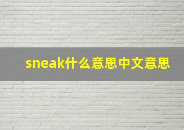 sneak什么意思中文意思