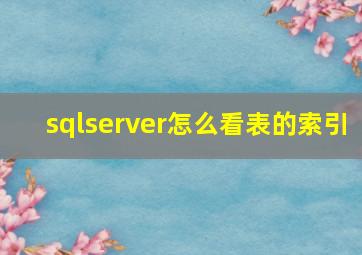 sqlserver怎么看表的索引