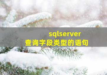 sqlserver查询字段类型的语句