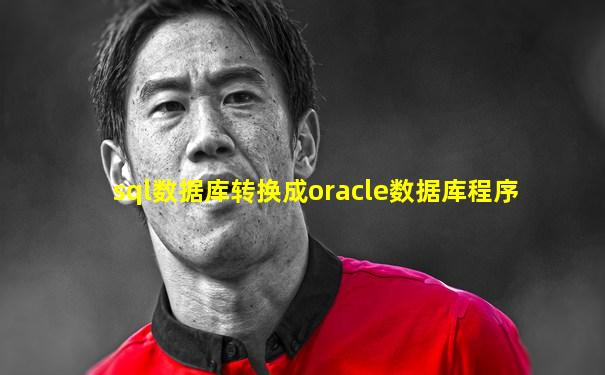 sql数据库转换成oracle数据库程序