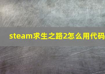 steam求生之路2怎么用代码