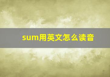 sum用英文怎么读音