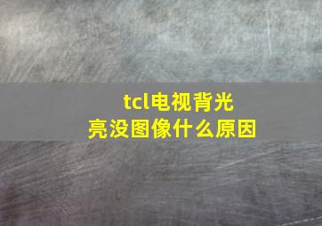 tcl电视背光亮没图像什么原因