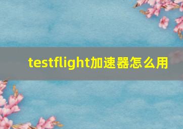 testflight加速器怎么用