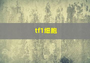 tf1细胞