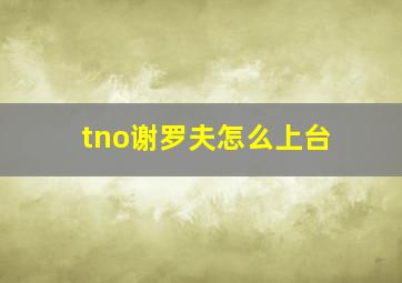 tno谢罗夫怎么上台