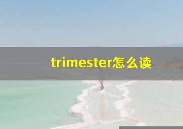 trimester怎么读