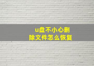 u盘不小心删除文件怎么恢复