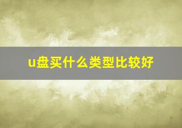 u盘买什么类型比较好